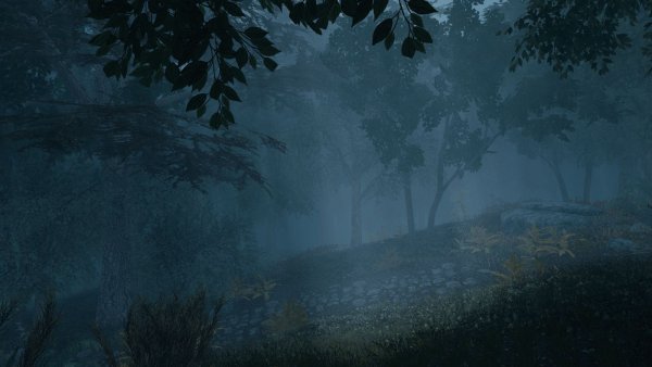 Туманные пейзажи.. Sexrim AE (Тропики 12)