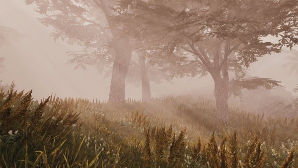 Туманные ПЕЙЗАЖИ.. Sexrim AE (Тропики 12)