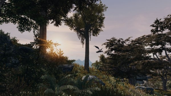 (с)"Он улетел, но обещал вернутся!" Sexrim AE (Тропики 12)