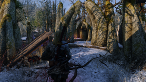 Skyrim Special Edition 20.02.2024 2_34_15