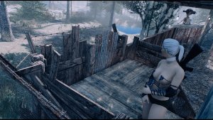 Поселенка на посту.. Poselenia Windfire Fallout-4