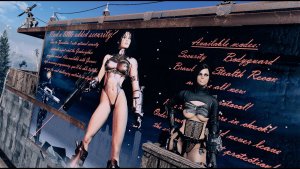 Кибервоин.. Fallout-4 (Сборка 9.0)