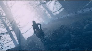 Туманные ПЕЙЗАЖИ.. Fallout-4 (Сборка 9.0)