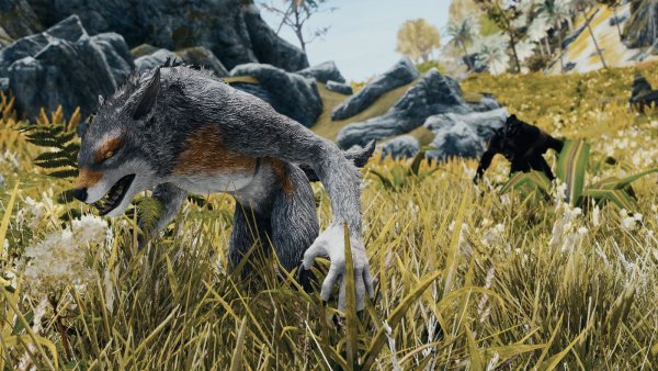 Оборотни дикари.. Skyrim AE (Тропики 12)