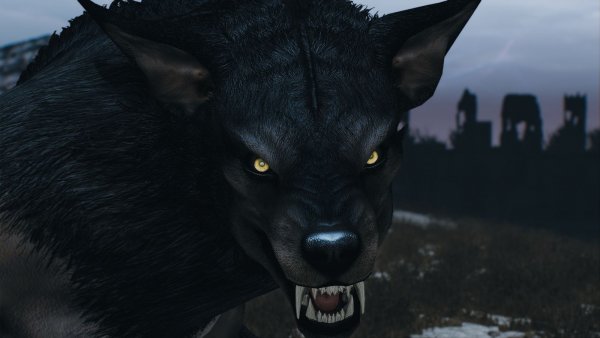 Рауф в форме вервольфа.. Skyrim AE (Тропики 12)