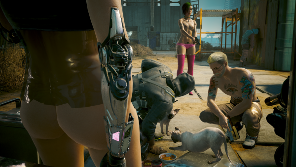 Джуди и Ви нашли "подружку" своему котику.