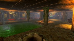 Дом в Рифтене_Подвал_photo 14.jpg