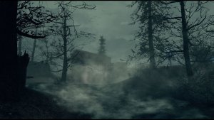 Доки Кранберри-Айленд (не ваниль).