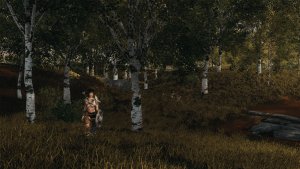 ПЕЙЗАЖИ. Березовая роща.. Skyrim AE (Тропики 12)