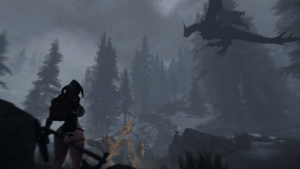 Фуль лосеи Довакин?