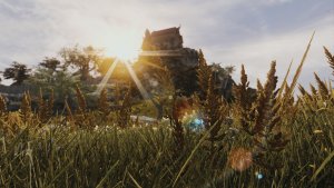 ПЕЙЗАЖИ.. Skyrim AE (Тропики 12)