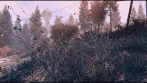 Утренний ПЕЙЗАЖ. Fallout-4 (Сборка 9.0)