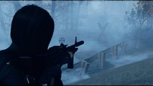 В тумане.. Fallout-4 (Сборка 9.0)