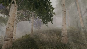 Туманные ПЕЙЗАЖИ.. Skyrim AE (Тропики 12)