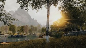 Березовая роща.. Skyrim AE (Тропики 12)