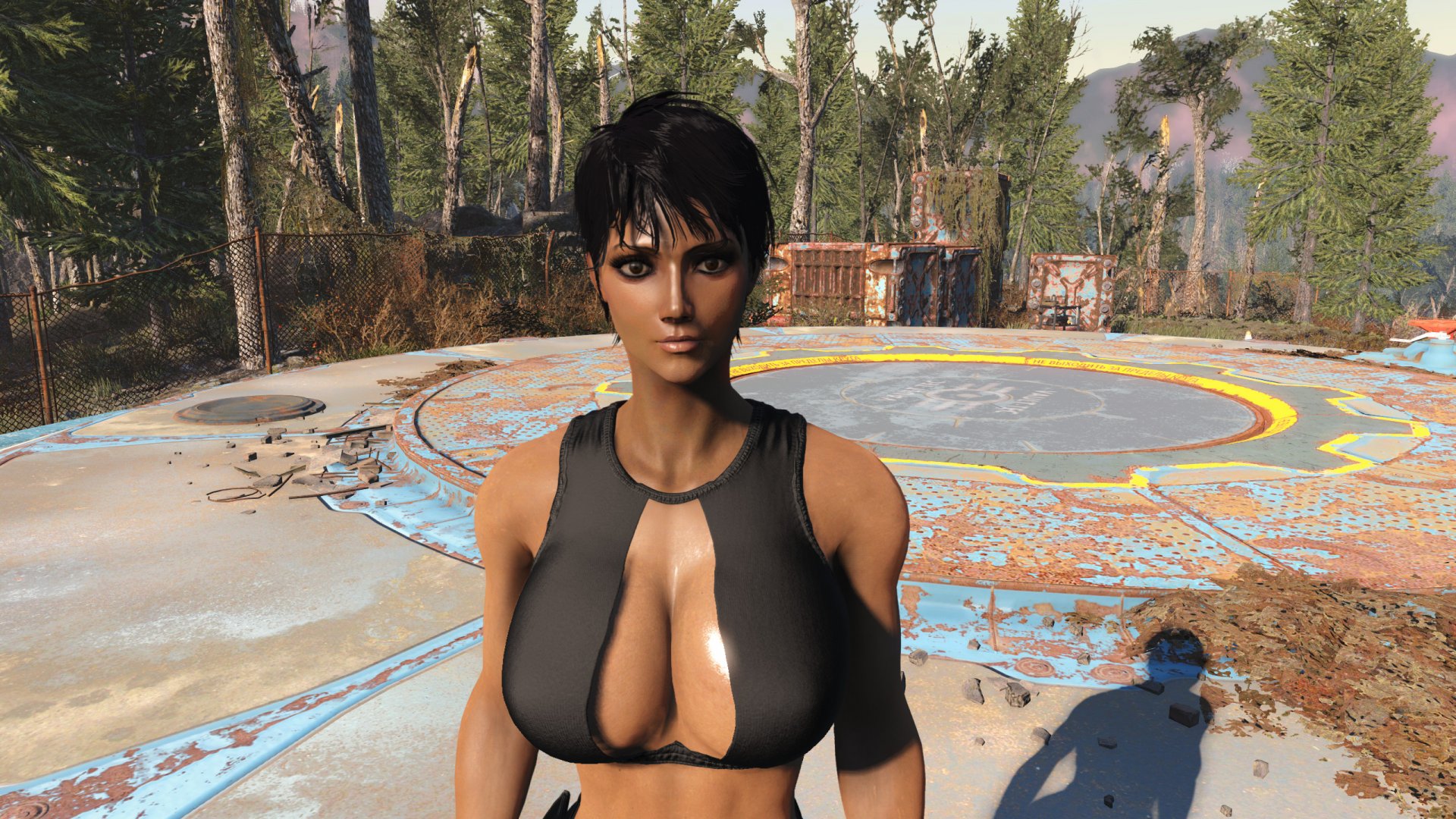 Пресет Кира для Fallout 4