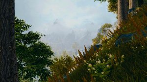 ПЕЙЗАЖИ.. Skyrim AE (Тропики 12)