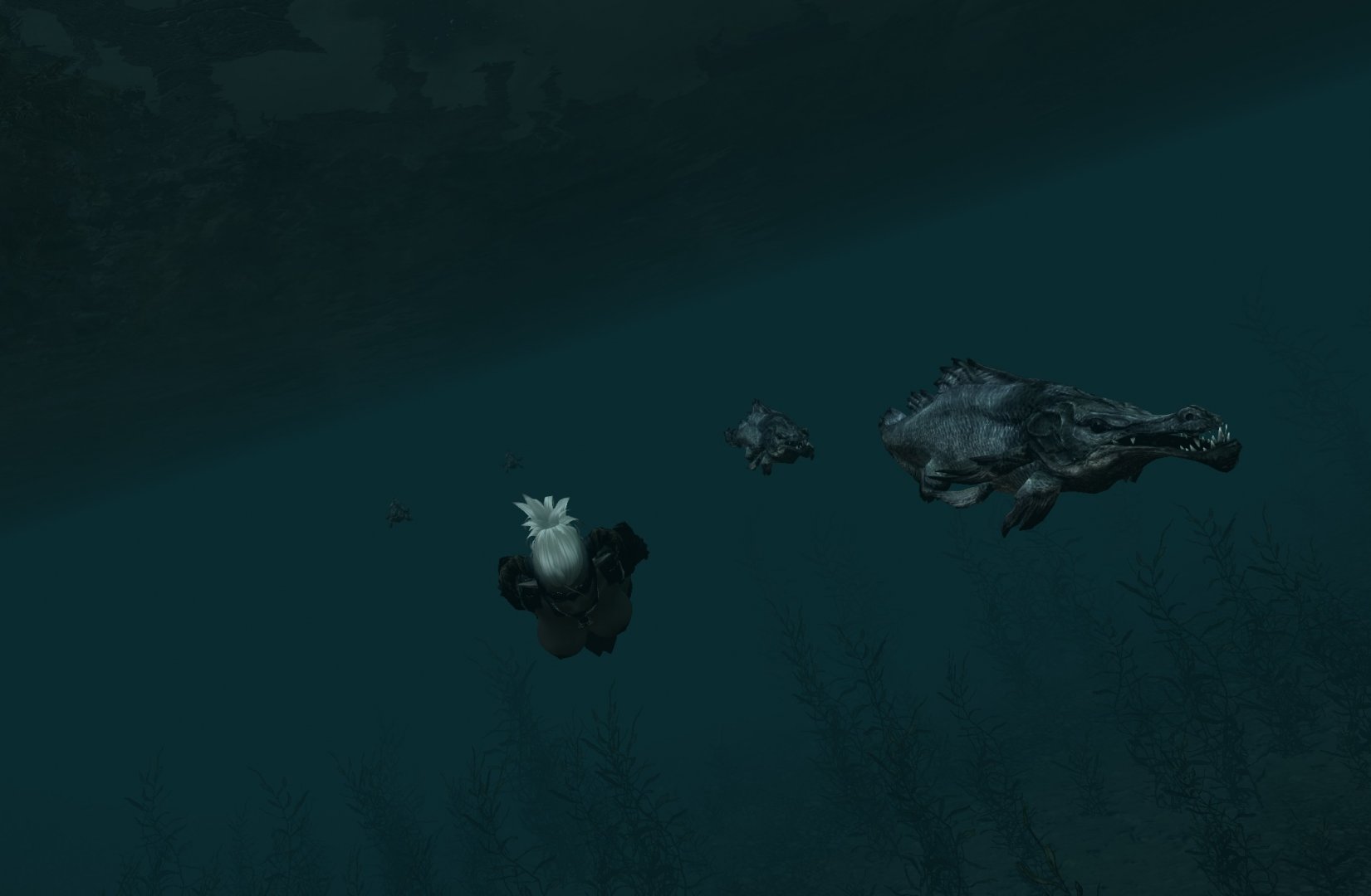 Разное из The Elder Scrolls V и Fallout 4