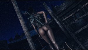 Поселенка на посту.. Fallout-4 (Сборка 9.0)