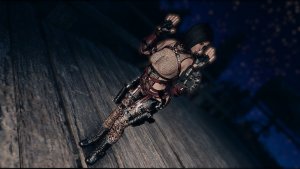 Досмотр. Лапки поднять )) Fallout-4 (Сборка 10.5)