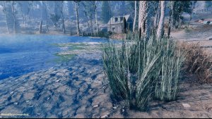Пейзажик. Fallout-4 (Сборка 10.5)