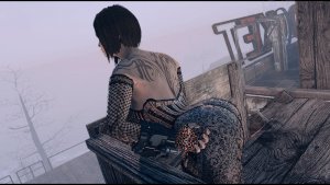 Кошачья гибкость.. Fallout-4 (Сборка 10.5)