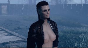 КЕЙТ. Fallout-4 (Сборка 10.5)