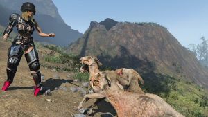 Какие-то агрессивные барашки (Коста-Рика)