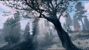 Вид с балкона Красной Ракеты ;)