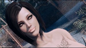 Присматривается. Fallout-4 (Сборка 10.5)