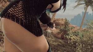 ...... SKYRIM AE (Сборка 15)