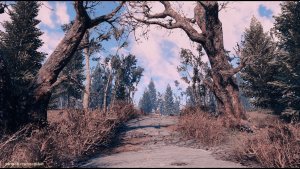 Дорожный пейзаж.. Fallout-4 (Сборка 10.5)