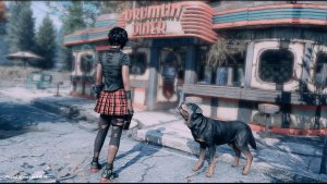 У Друмлин (не валиль) Fallout-4