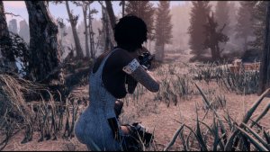 Вечером. Fallout-4 (Сборка 10.5)