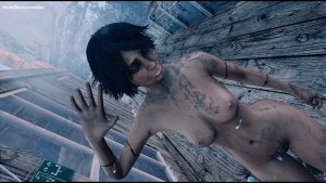 Душ для души и тела ) Fallout-4 (Сборка 10.5)