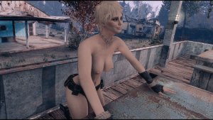 На рынке в Сэнкчуари.. Poselenia Windfire Fallout-4