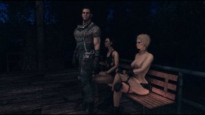 Культурный отдых вечером.. Poselenia Windfire Fallout-4