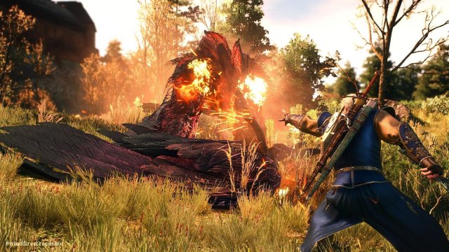 The Witcher 3 Screenshot 2025.04.20 - 19.51.11.15.jpg