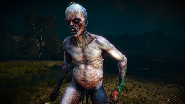 The Witcher 3 Screenshot 2025.04.30 - 22.08.27.70.jpg