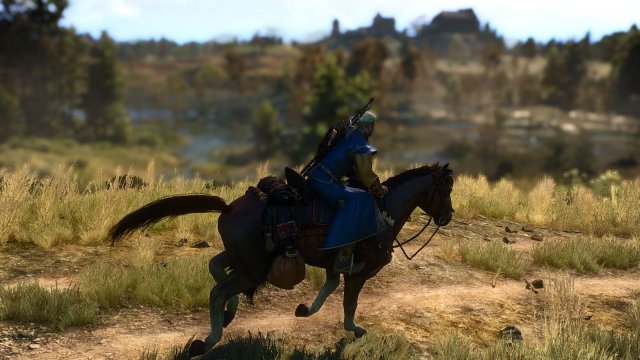 The Witcher 3 Screenshot 2025.04.10 - 23.36.49.23.jpg