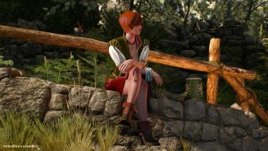 ШАНИ.. Ведьмак III (сборка Торна)