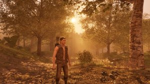 В лесу хорошо