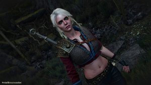 ЦИРИ в Веленском лесу. Ведьмак III (сборка Торна)