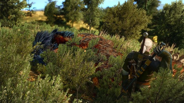 The Witcher 3 Screenshot 2025.04.29 - 20.35.36.35.jpg