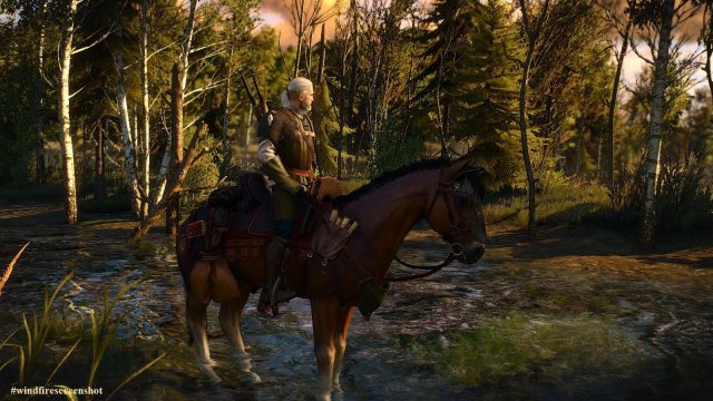 The Witcher 3 Screenshot 2025.04.21 - 20.28.25.79.jpg