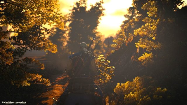 The Witcher 3 Screenshot 2025.04.12 - 22.48.21.26.jpg