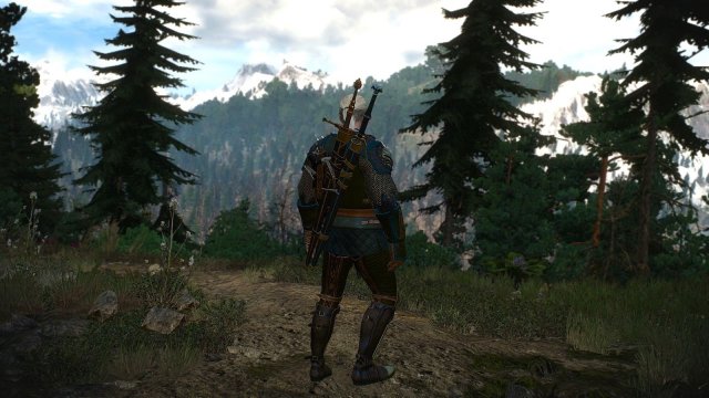 The Witcher 3 Screenshot 2025.05.17 - 22.43.40.01.jpg