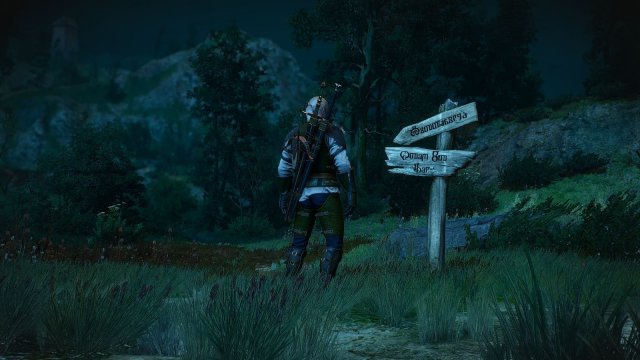 The Witcher 3 Screenshot 2025.04.24 - 22.38.03.06.jpg