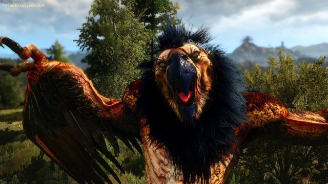 The Witcher 3 Screenshot 2025.04.29 - 20.34.25.75.jpg