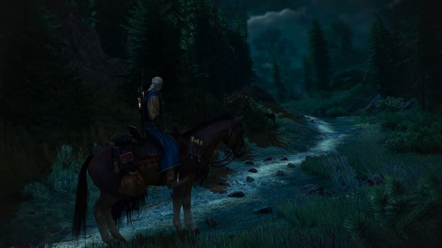 The Witcher 3 Screenshot 2025.04.14 - 21.57.01.40.jpg